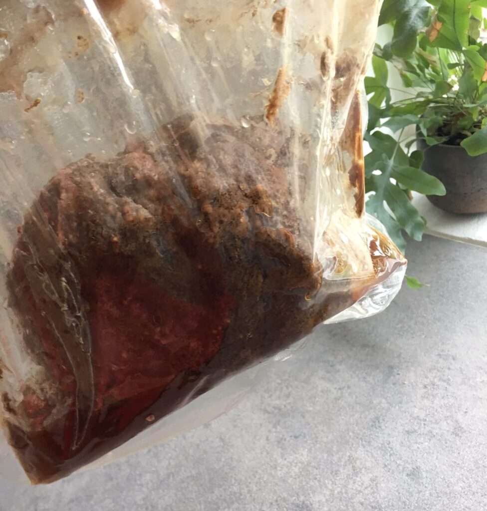Pulled pork sous vide